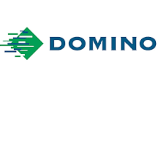 DOMINO PRINTING  MEXICO SA DE CV 