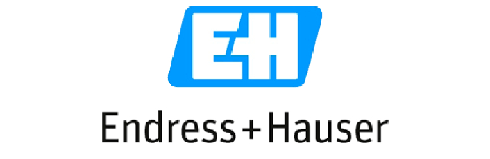 ENDRESS + HAUSER MEX SA DE CV 